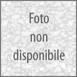 Consigliere Regione Lombardia